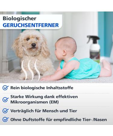 Coverax Organic Odor Remover | Enzyme Cleaner & Odor Neutralizer | 500ml Spray for Cat & Dog Urine Couch Car & Carpet | Pleasant Fragrance - Buy Online on GoSupps.com