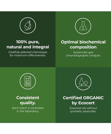 BIO Peppermint Essential Oil 30mL - 100% Pure & AB Certified - Aroma Labs (French Brand) - Buy Online on GoSupps.com