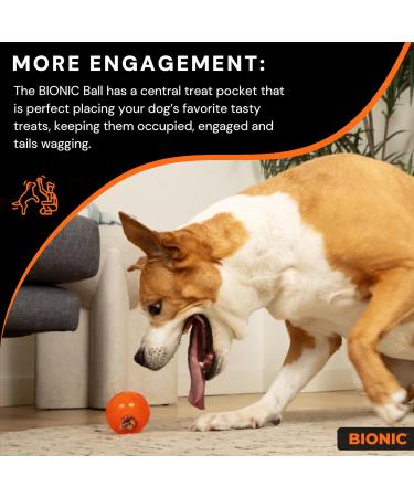 Bionic Ball - Durable 6.7cm Dog Toy for International Shipping | Tough & Long-lasting for Active Dogs - Buy Online on GoSupps.com