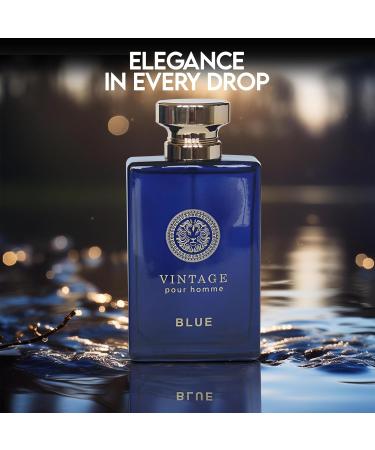 Vintage Blue Men's Cologne Timeless Scent with a Modern Twist Perfume for Men Eau de Toilette 100ML for All Skin Vintage Blue 3.4 Fl Oz (Pack of 1) - Buy Online on GoSupps.com