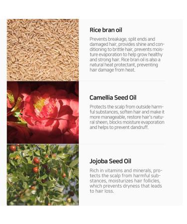 RNW Der. Hair Care Color Protecting Treatment 200ml | Nourishing Repair Therapy for Dyed & Damaged Hair | Korean Hair Care Solution - Buy Online on GoSupps.com