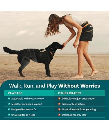 QYJLOFMVE Dog Knee Brace Support for Large and Small Dogs Suffering from ACL CCL Cruciate Ligament Injuries Luxating Patella or Osteoarthritis for Rear Legs and - Buy Online on GoSupps.com