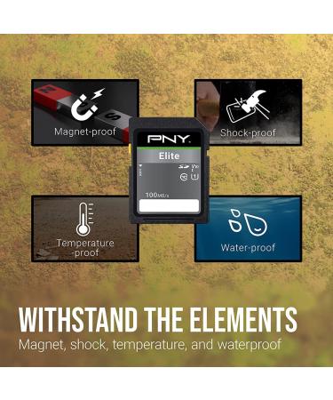 PNY 32GB Elite Class 10 U1 V10 SDHC Flash Memory Card - 100MB/s | Full HD | UHS-I Compatibility - Buy Online on GoSupps.com