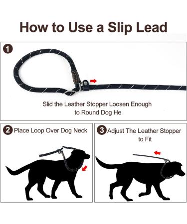 TRHIMLSBRAD Adjustable Dog Leash 2M x 10mm - Multifunctional Double Leash for Every Dog - Durable & Comfortable - Ideal for International Shipping - Buy Online on GoSupps.com
