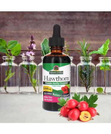 Nature's Answer Hawthorne Berry Extract | Organic, Promotes Circulation & Cardiovascular Health | 2oz - Buy Online on GoSupps.com