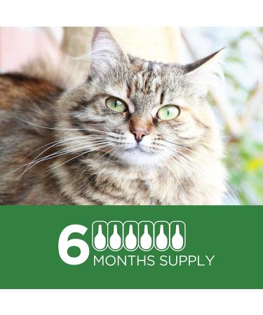 TevraPet Actispot II Flea Treatment for Cats 6 Doses - Large Cats 9+ lbs | Effective Prevention & Control - Buy Online on GoSupps.com