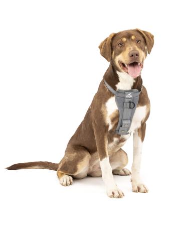 Kurgo Tru-Fit Dog Harness Crash Tested Car Seat Belt For Dogs 2 to 5 kg Size M Gray Gray M