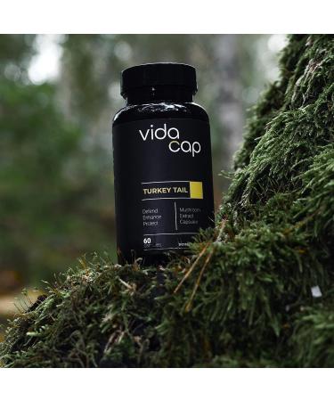 VidaCap Organic Turkey Tail Capsules 750mg Hand-Crafted Turkey Tail Mushroom Extract | Supports Immune Health Digestion Gut Health & More | Proudly USA-Made - Buy Online on GoSupps.com