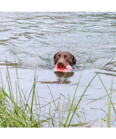 Nobby TPR Lifebuoy with Rope - 15 cm - Durable Floating Safety Device for Pets - International Shipping Available - Buy Online on GoSupps.com