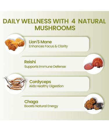 PUTRIZEN High-Efficiency Mushroom Complex Supplement: 90 Capsules 4-in-1 Energy-Supporting Brain Supplements for Stress Relief Enhanced Focus - Buy Online on GoSupps.com