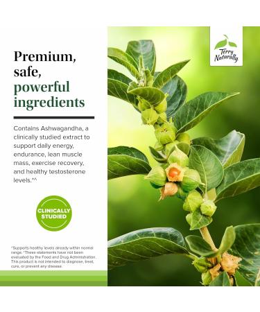 Terry Naturally Complete Testosterone Support - Energy Supplement for Exercise Recovery - Male Hormonal Balance Support - Vegan - 30 Capsules (30 Servings) - Buy Online on GoSupps.com