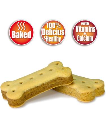 Arquivet Sandwich Bone Dog Biscuits - 10 kg Pack | Healthy Treats for Dogs - International Shipping Available - Buy Online on GoSupps.com