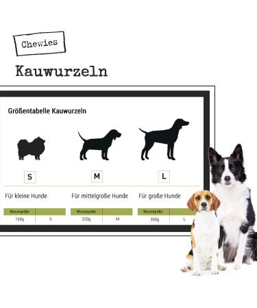 100% Natural Chewies Chewing Root for Dogs - Durable & Safe Dog Toy for Small Dogs (Up to 10kg) | Baumheide Wurzel - S (1 Pack) - Buy Online on GoSupps.com