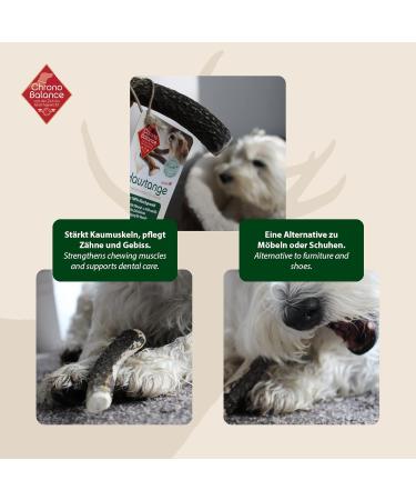Chronobalance L - 2 Set Force Breath for Dogs | 100% Deer Antler Chews & Dental Care Treats | Natural Additive-Free Chewing Toys - Buy Online on GoSupps.com