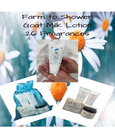 Lu Lu's Suds Handmade All Natural Goat Milk Moisturizing Body Lotion (8 oz Ella's Strawberry Shortcake) - Buy Online on GoSupps.com