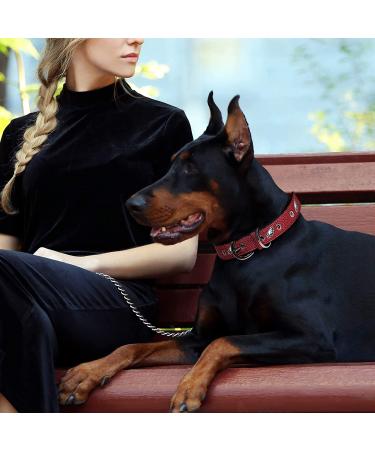 Pets First Philadelphia Eagles NFL Leather Dog Collar - Small - Buy Online on GoSupps.com