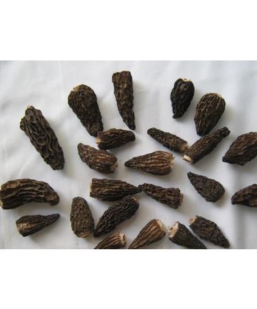 Dried Wild Morel Mushrooms Premium Morels Wild Morchella