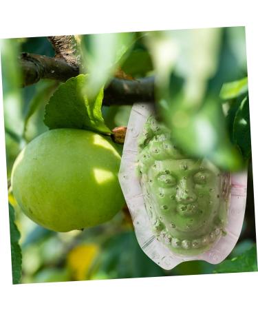 Balacoo Vegetable Growing Mold Garden Fruit Growing Mould Buddha Shaped Fruit Mold Acrylic Small - Buy Online on GoSupps.com