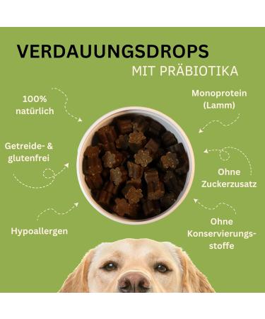 Pawnutrio Prebiotics Dog Snacks - 100% Natural Grain-Free Digestion Treats | Relieve Diarrhea & Heartburn | 300g Can - Buy Online on GoSupps.com
