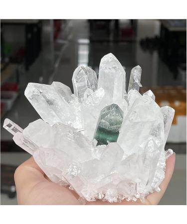Natural Crystal Rough Natural Crystal Quartz Cluster Stone Minerals Great for Home Decoration Reiki (Size : 900-1000g) - Buy Online on GoSupps.com
