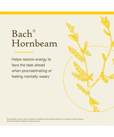 Bach Original Flower Remedies Hornbeam - Procrastinate Less - Natural Homeopathic Flower Essence for Emotional Balance - Vegan Gluten Free Sugar Free - 20mL Dropper - Buy Online on GoSupps.com