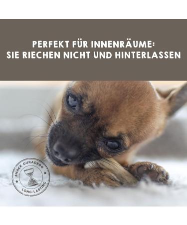 Maikai Hirschweih Natural Chewing Bone for Dogs - XL 2-Pack | Durable Dog Toys for Large Breeds Over 35kg - Buy Online on GoSupps.com
