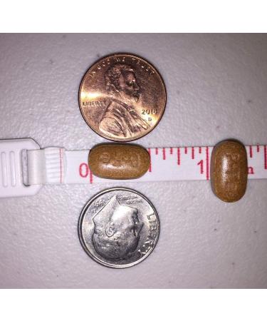 Ferret Suppts Ironlement Ferrous Fumarate 325mg - 60 tablets (Pack of 6) - Buy Online on GoSupps.com