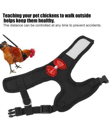 Adjustable Chicken Leash & Cable Rope - Durable Outdoor Dishes for Hens Ducks & Poultry - Buy Online on GoSupps.com
