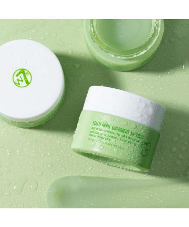 W7 Sweet Dreams Overnight Green Apple Lip Mask - Hydrating Lip Treatment with Vitamin E, Aloe Vera & Grape Seed Oil - 12g (Pack of 1) - Buy Online on GoSupps.com