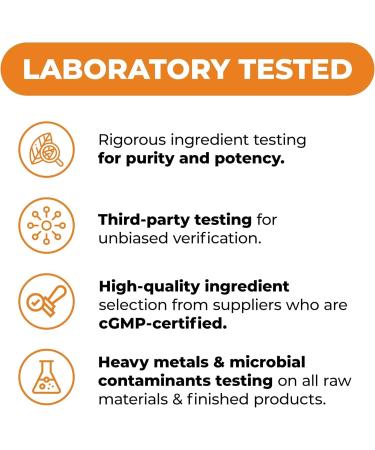 Boswellia Turmeric Curcumin Supplement + Turmeric Ginkgo Biloba Bundle Natural Turmeric Supplement for Focus Memory Joint & Brain Health with Ginger Root Curcuma Black pepper & Organic Tumeric - Buy Online on GoSupps.com