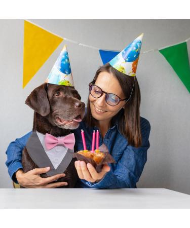 Liebeedd Gray Dog Neck Towel Bandana - Adjustable Dog Costume for Weddings & Birthdays | International Shipping Available - Buy Online on GoSupps.com