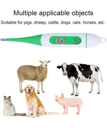 Veterinary Electronic Thermometer - Waterproof Digital Thermometer for Dogs Cats Horses & Farm Animals | Trusted by Vets - Buy Online on GoSupps.com
