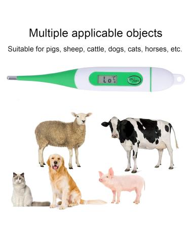Pet Fever Thermometer Digital Fever Thermometer for Horse Cattle Pet Thermometer Waterproof Animal Thermometer with LCD Screen for Pigs Sheep Cattle Dogs Cat - Buy Online on GoSupps.com