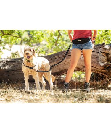 One Trail Hands Free Dog Lead | Durable Bungee Leash With No-Bounce Pack (Large Dog Black) Large Dog Black - Buy Online on GoSupps.com