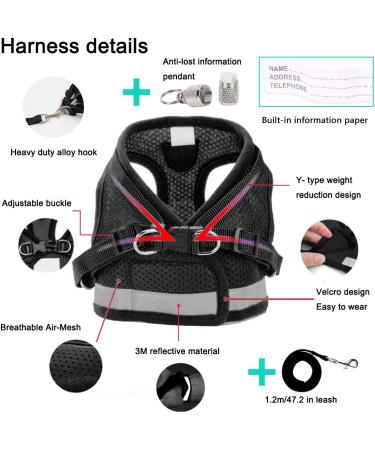 Buy Bojly Cat Dishes with Leash | Outbreak-Proof Safety Harness & Anti-Lost Bell for Dogs & Cats - Buy Online on GoSupps.com
