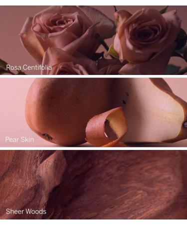 Victoria's Secret Bare Rose Eau de Parfum Rollerball Notes of Pear Skin Rosa Centifolia & Sheer Woods Travel Size Mini Perfumes for Women (0.23 oz) - Buy Online on GoSupps.com