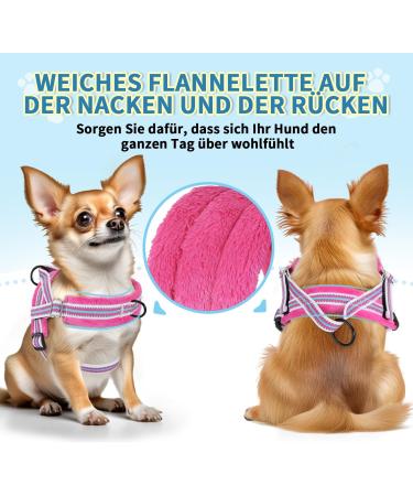 Eyein No-Pull Dog Harness with Leash - Soft Padded Reflective Adjustable for Puppies Small & Large Dogs Cats (Rose Red XXS) - Perfect Pet Gear - Buy Online on GoSupps.com
