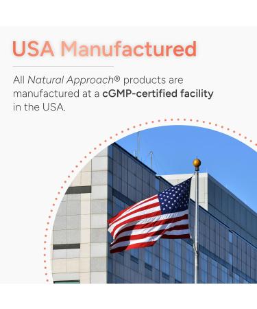 High Absorption Quercetin with Bromelain Vitamin C and Zinc - 500mg Quercetin Phytosome - 50x More Absorption - Supports Immune Function & Cellular Health - USA Manufactured Supplement - 60 Capsules - Buy Online on GoSupps.com