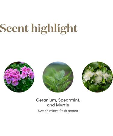 Endoflex Essential Oil 15ml by Young Living Essential Oils - Buy Online on GoSupps.com