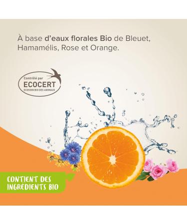 BEAPHAR ECOCERT-certified Eye Cleansing Lotion for dogs and cats Contains Cornflower Witch Hazel Rose and Organic Floral Waters Neutral pH Paraben/silicone/dye/alcohol free 100 ML - Buy Online on GoSupps.com