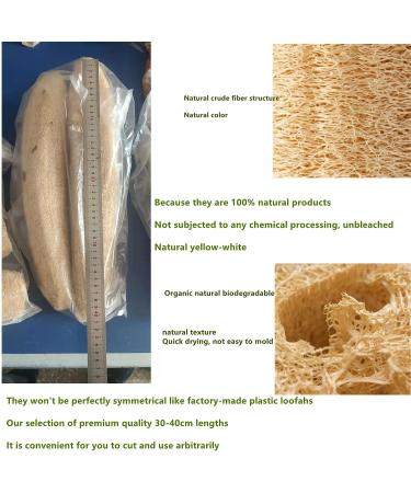 Large All Natural Loofah Sponge for Exfoliating Body Scrub - 100% Biodegradable and Reusable - Ideal for Kids, Men, Women, and Dishes - Organic Loofah for Soap Making - Buy Online on GoSupps.com