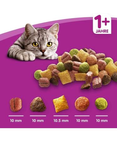 Whiskas Dry Adult 1 + with Chicken 1 9 Kg - Buy Online on GoSupps.com