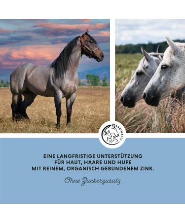 Annimally Zinc for Horses - High-Dose Zinc Pellets (700g) with Black Cumin Zeolite & Brewer's Yeast for Skin Hair & Hoof Health - Buy Online on GoSupps.com