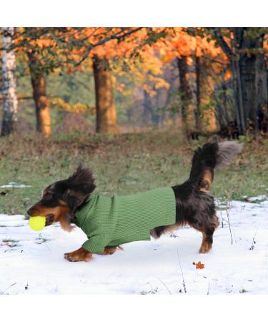 Convinit Dog Sweater for Small & Medium Dogs - Warm Turtleneck Knitting Sweater for Chihuahua Dackel French Bulldog - Green - Buy Online on GoSupps.com