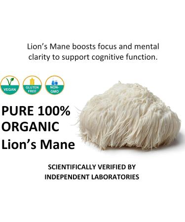Organic Lions Mane Mushroom Powder (227g) - Vegan & Non-GMO Nootropic Supplement for Brain Health, Neuron Growth, and Immune Support - Buy Online on GoSupps.com