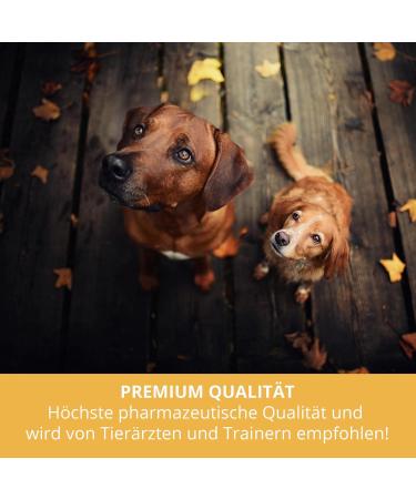 Sensipharm L-Lysine for Dogs & Cats | 100 High Dosed Lysine Softgels at 670mg to Support the Immune System | Naturally Pure A - Buy Online on GoSupps.com