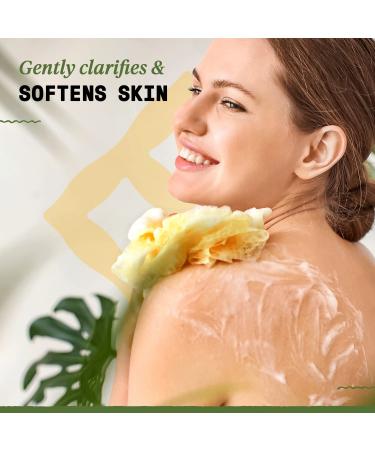 Alaffia Authentic African Black Soap 32 Fl Oz - All in One Liquid Soap for Face, Body, Hair - with Shea Butter, Eucalyptus & Tea Tree - Acne Wash, Moisturizing Body Wash, Shampoo, Shaving Soap - Buy Online on GoSupps.com