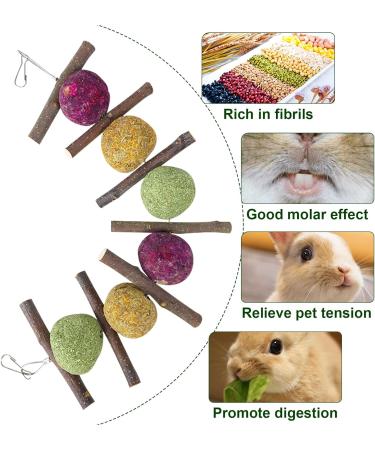 GNCLOUD Rabbit Toys: Apple Stick, Rose & Grass Ball - Hanging Boredom Breaker Treats for Hamsters, Chinchillas, Guinea Pigs, Gerbils - 1pc - Buy Online on GoSupps.com