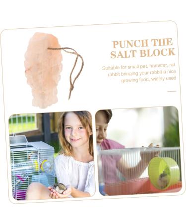 BESPORTBLE Pet Saline Practical Rabbit Salt Creative Rabbit Salt Pets Lick Salt Animals Lick Salt Nutrition Hamster Animals Salt Rabbit Salt Licking Pet Salt Blocks Licking Salt Blocks - Buy Online on GoSupps.com