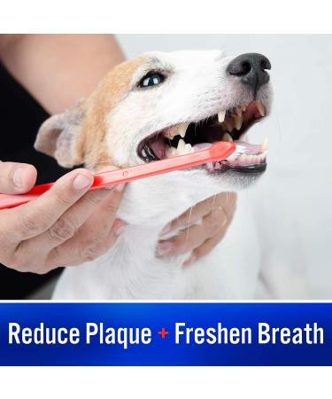 Enzymatic Toothpaste Dual Pack | Eliminates Bad Breath by Removing Plaque & Tartar Buildup | Best Pet Dental Care Toothpaste | Poultry Flavor 2 x 70g Tube - Buy Online on GoSupps.com